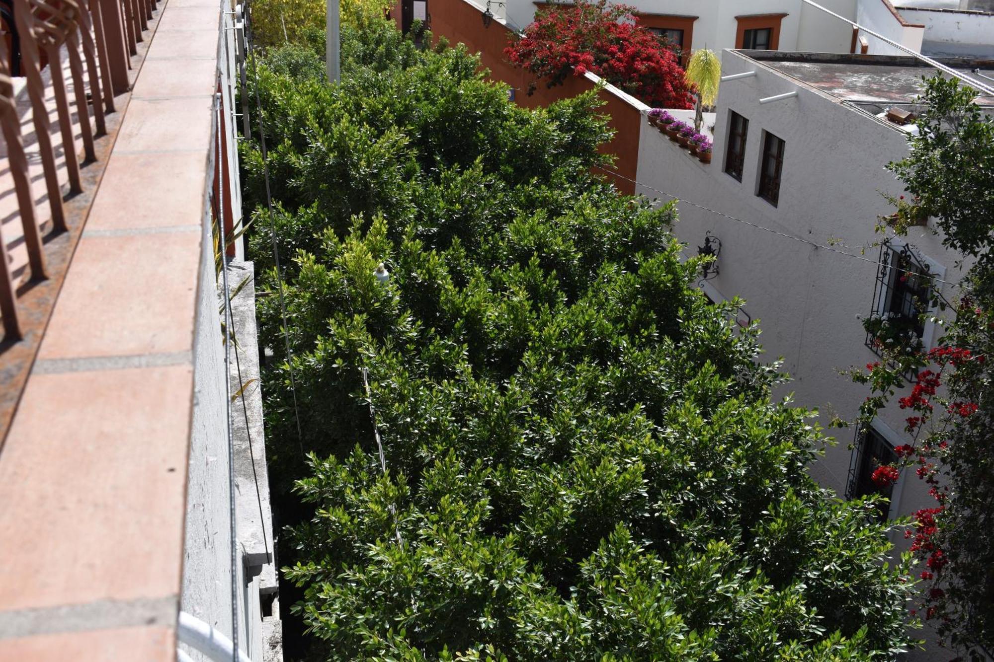 Casa Maria Elena Bed & Breakfast San Miguel de Allende Exterior photo